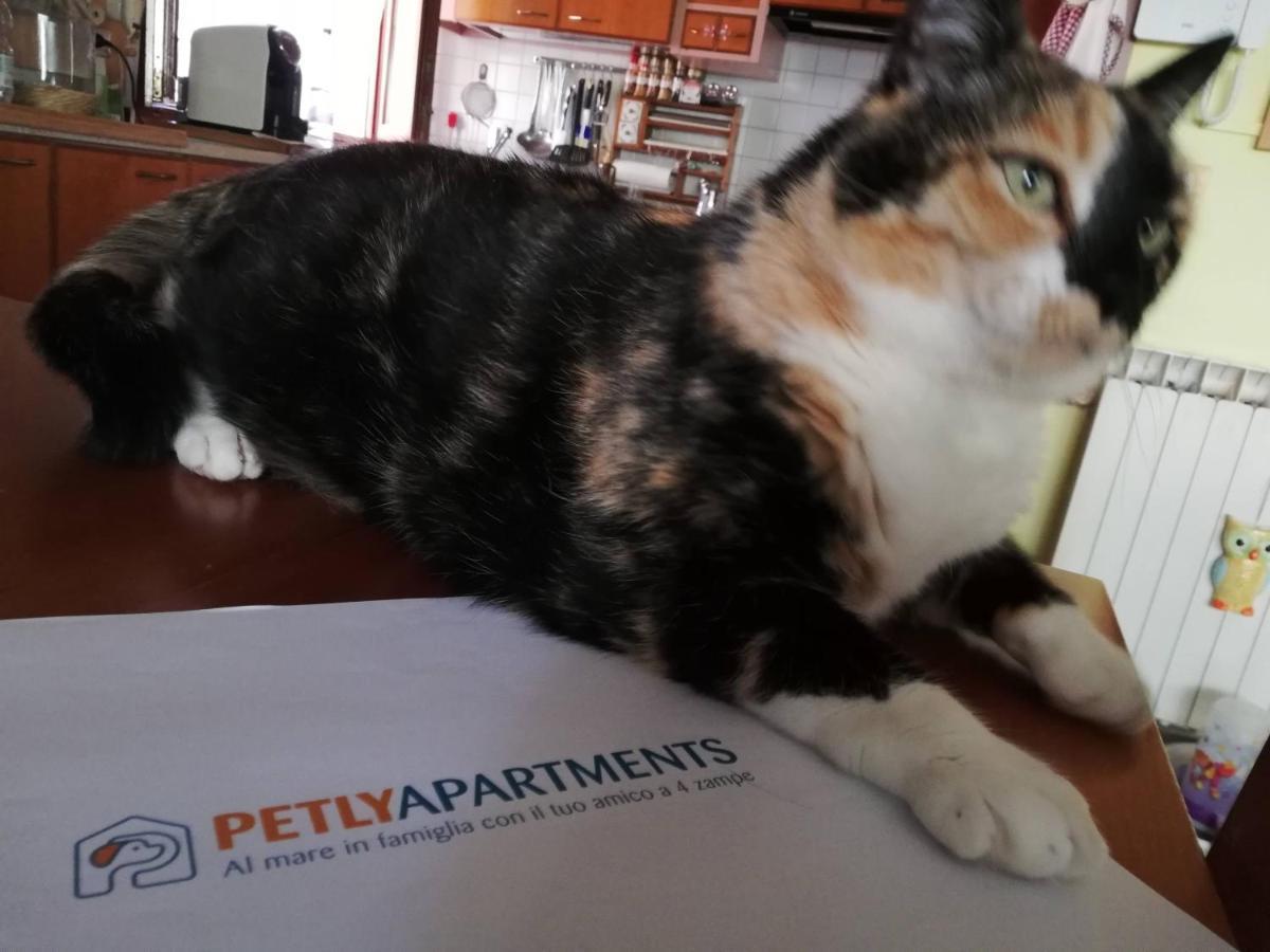 Appartamento La Casa di Pamy Bellaria-Igea Marina Esterno foto