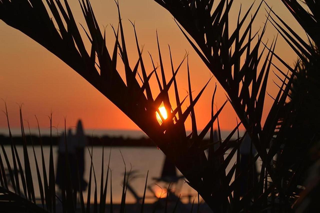 Appartamento La Casa di Pamy Bellaria-Igea Marina Esterno foto