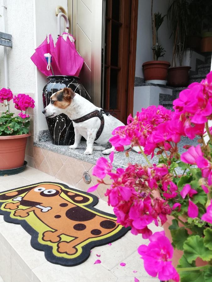 Appartamento La Casa di Pamy Bellaria-Igea Marina Esterno foto
